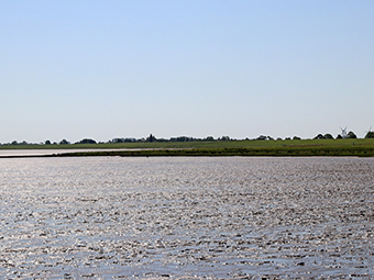 Herrliche Nordsee…und so schöne Luft.